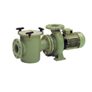 Astral Commerical Pool Pumps