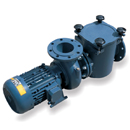 BP Cast Iron Pump