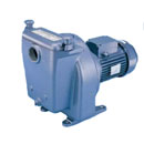Surecast Modern SP Pump Models 240V 1 Phase