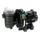 Domestic Pool Pumps