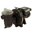 Sta-Rite S5P2R-VS Variable Speed Pump